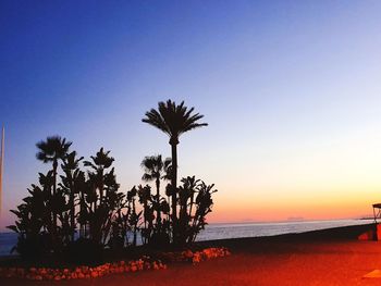 Silhouette palm trees on beach against clear sky at sunset