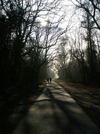 Road passing through bare trees