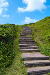 Low angle view of staircase amidst plants against sky