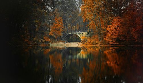 Reflection of trees in lake during autumn