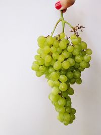 Close-up of hand holding grapes over white background