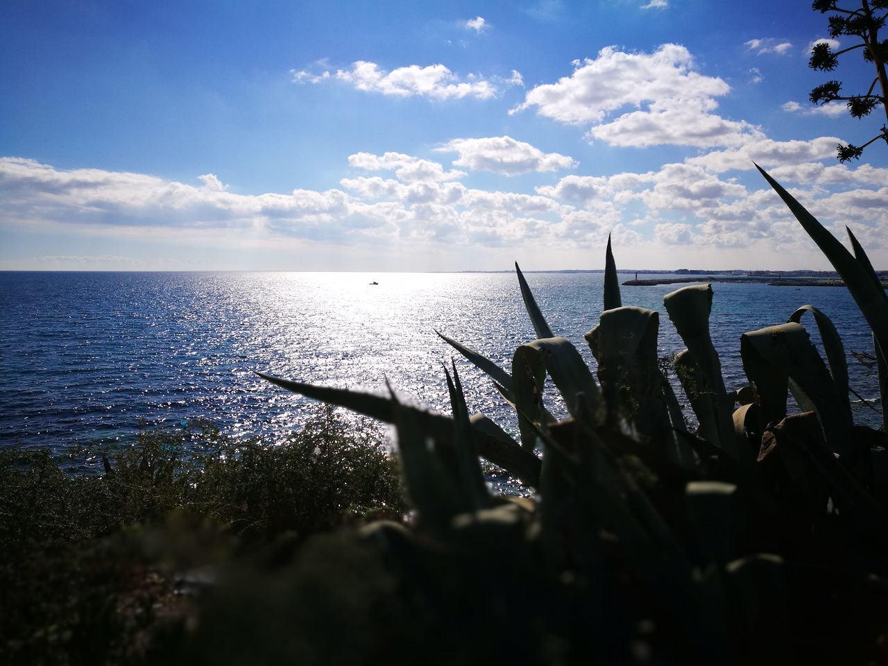 sea, sky, horizon over water, water, cloud - sky, nature, scenics, tranquil scene, beauty in nature, tranquility, outdoors, no people, day, sunlight, beach