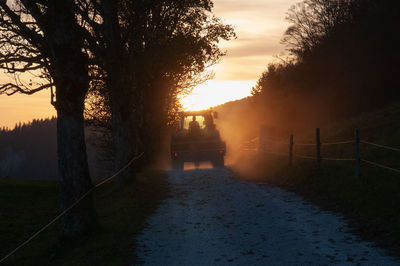 Walkway amidst trees against sky during sunset