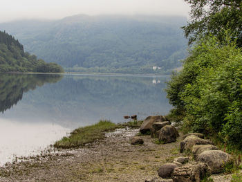 Reflection of trees in lake