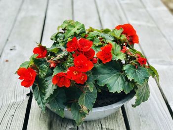 Close-up of red flower pot on table