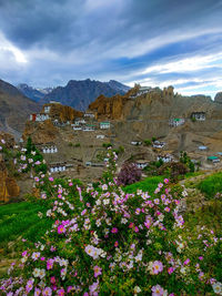 Scenic view of flowering plants against cloudy sky