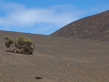 Scenic view of arid landscape against sky