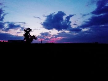 Silhouette trees on field against sky at sunset
