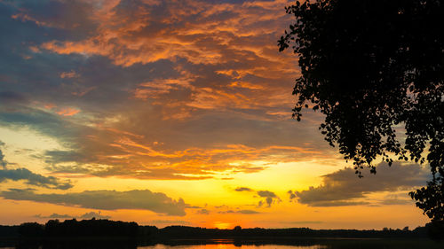 Low angle view of silhouette trees against dramatic sky