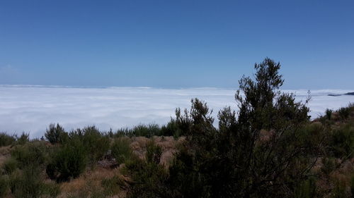 Scenic view of landscape against blue sky
