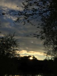 Low angle view of silhouette trees against sky at sunset