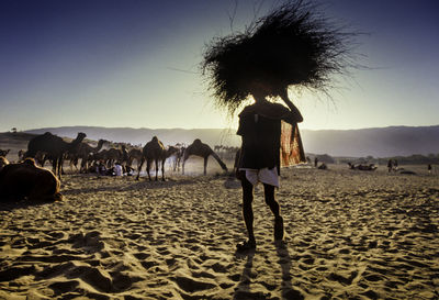 Woman walking on sand at beach against clear sky