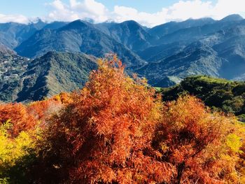 Scenic view of tree mountains against sky