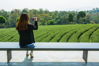 Rear view of woman photographing