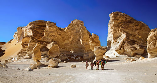 Rear view of men walking by camels by rock formations at desert against blue sky