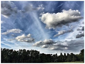 Low angle view of trees against sky