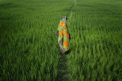 Rear view of woman holding umbrella