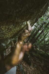 Close-up of man hand on tree in forest