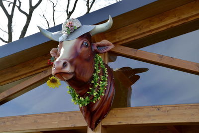 Low angle view of cow on wood against sky
