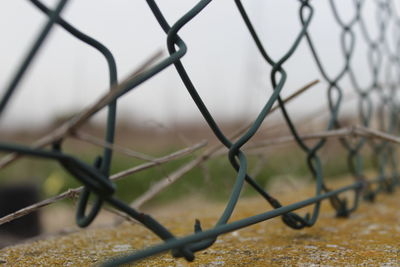 Close-up of chainlink fence