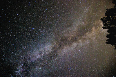 Low angle view of stars in sky at night