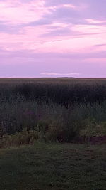 Scenic view of field against cloudy sky