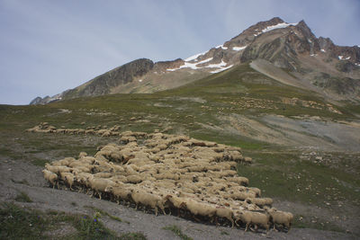Scenic view of landscape and mountains against sky