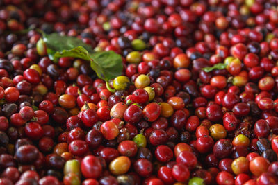 Full frame shot of cherries