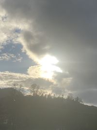 Low angle view of silhouette trees against sky