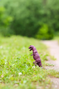 Plastic dinosaur toy on green grass outdoors