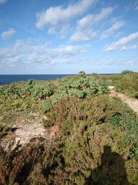 Scenic view of sea against sky