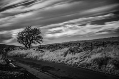 Road by trees on field against sky