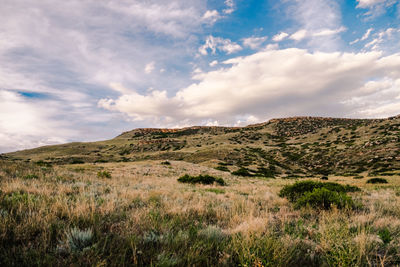 Scenic view of landscape against sky