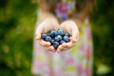 Close-up of hand holding fruit