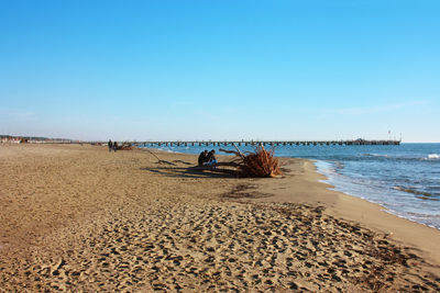 Scenic view of beach against clear blue sky