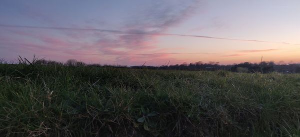 Scenic view of field against sky during sunset