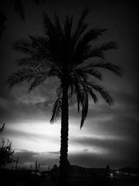 Low angle view of silhouette palm trees against sky