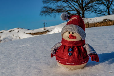 Close-up of person wearing hat on field during winter