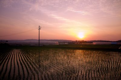 Scenic view of field against sky during sunset