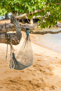 Close-up of hat hanging on sand at beach