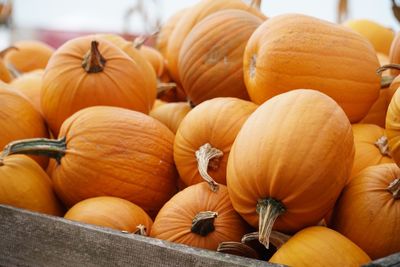 Close-up of pumpkins for sale at market stall