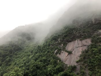 Scenic view of waterfall
