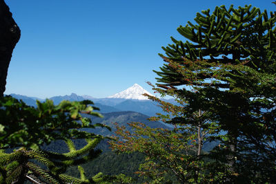 Scenic view of mountains against clear sky