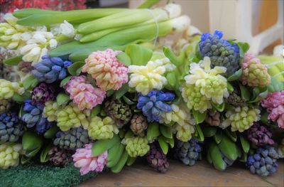 Close-up of flowers