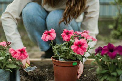 Midsection of woman holding flowers