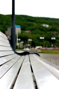 Close-up of tree against sky