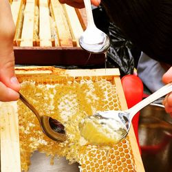 Cropped image of people holding spoon with beehive