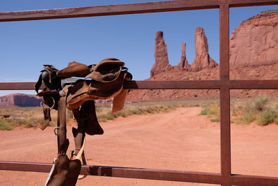 Horse cart in desert