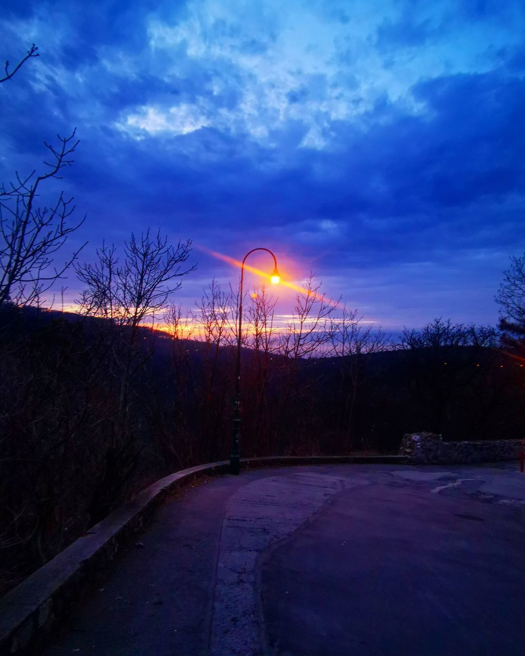 ROAD BY BARE TREES AGAINST SKY AT SUNSET