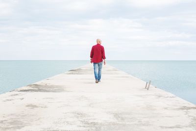 Full length rear view of man standing on sea shore against sky